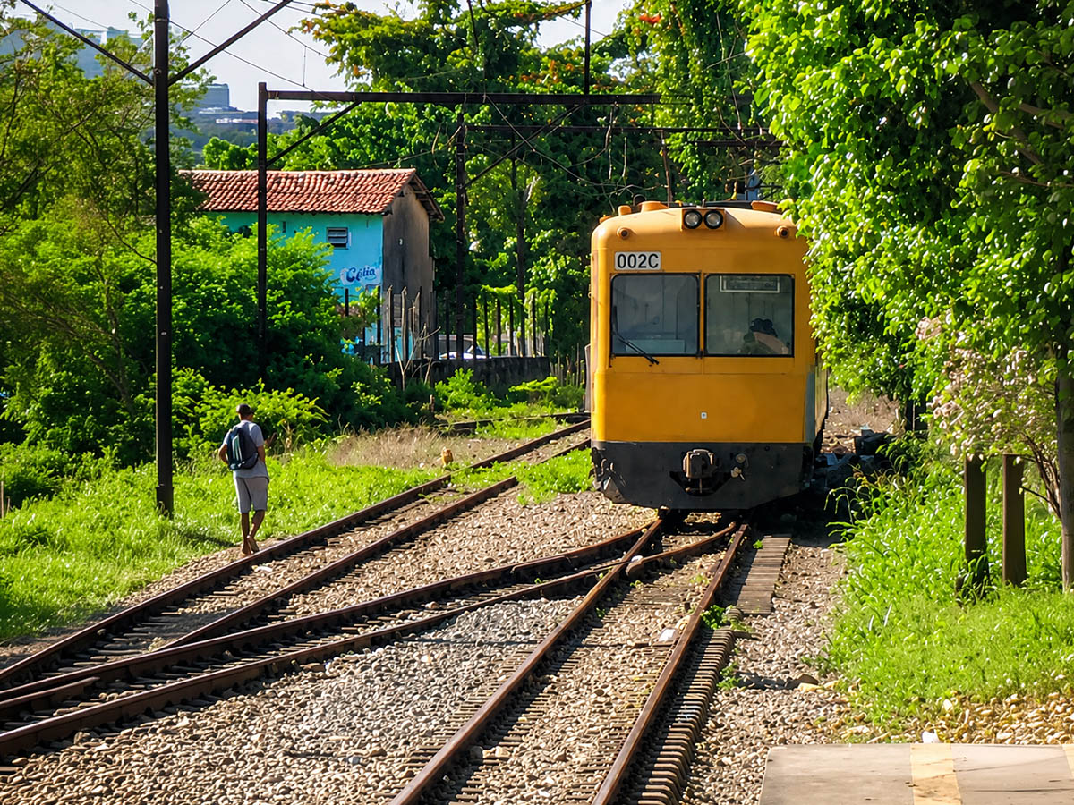 Licenciamento ambiental e mediação de conflitos - foto 2